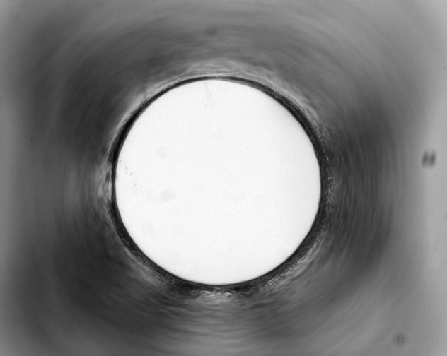 X0000103461509200810101138