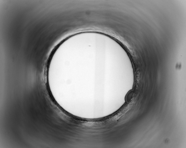 X0000103461510200810101138