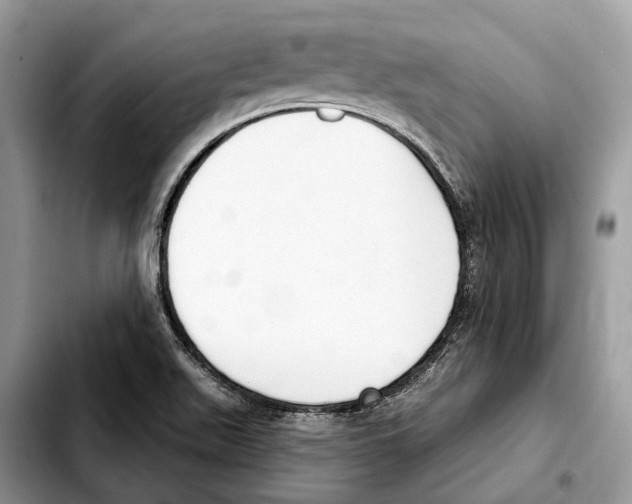X0000103461511200810101138