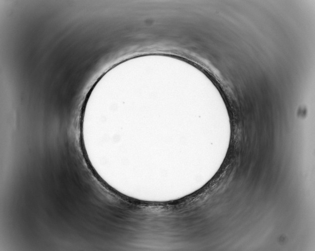 X0000103461512200810101138