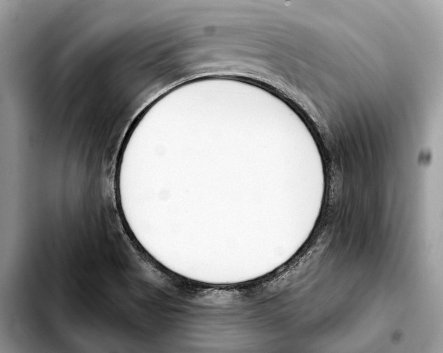 X0000103461513200810101138