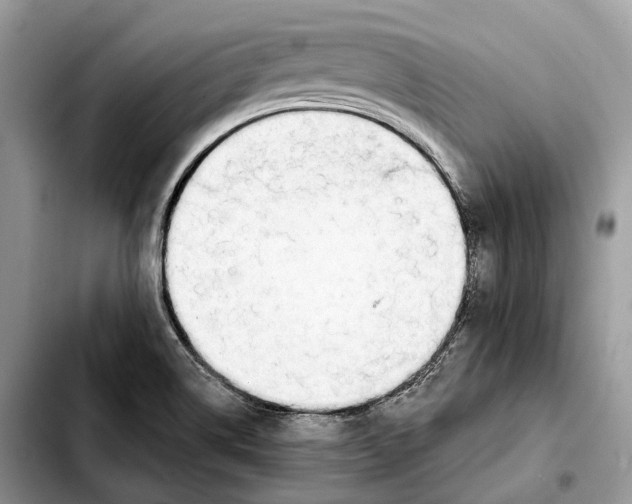 X0000103461514200810101138