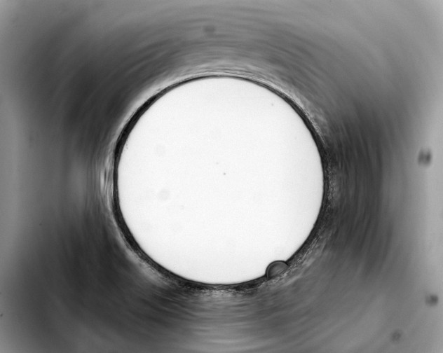 X0000103461515200810101138