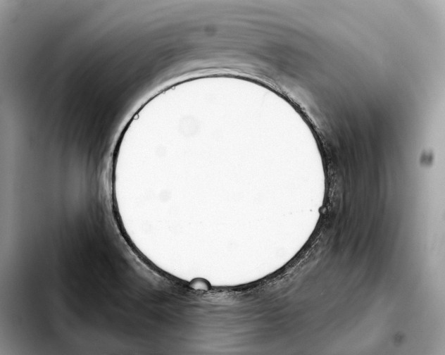 X0000103461516200810101138