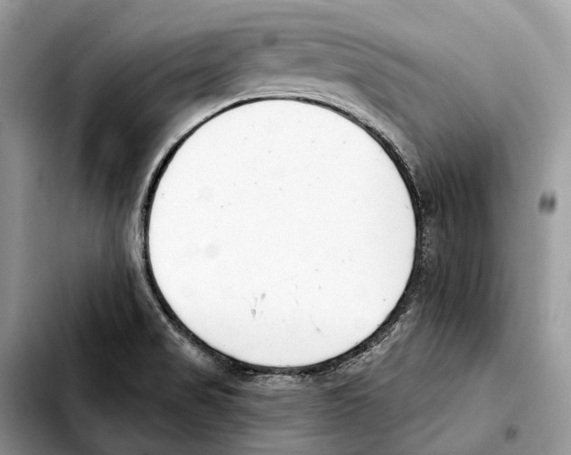 X0000103461517200810101138
