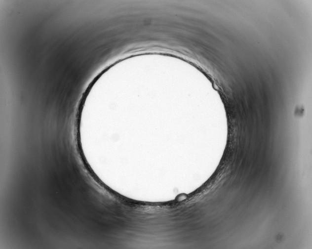 X0000103461518200810101138