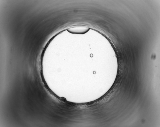 X0000103461519200810101138