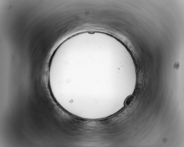 X0000103461520200810101138
