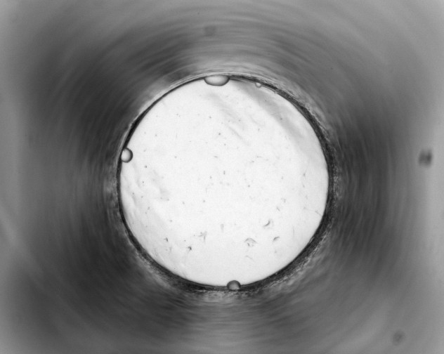 X0000103461521200810101138