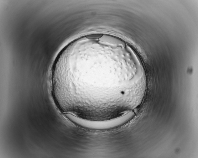 X0000103461522200810101138