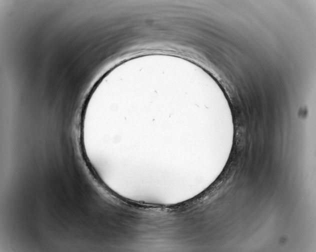 X0000103461523200810101138