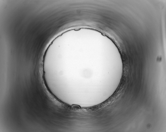 X0000103461524200810101138