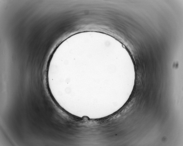 X0000103461525200810101138