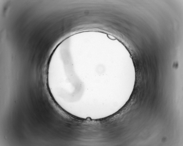 X0000103461526200810101138