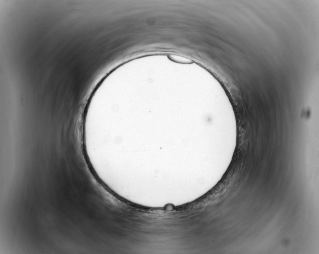 X0000103461527200810101138