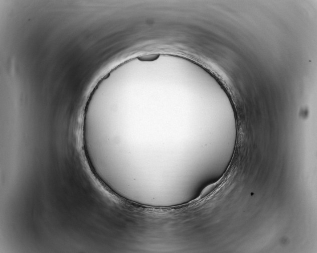 X0000103461528200810101138