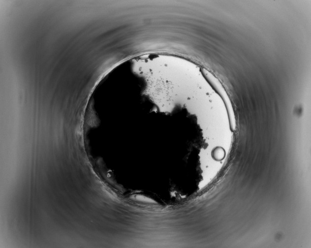 X0000103461529200810101138