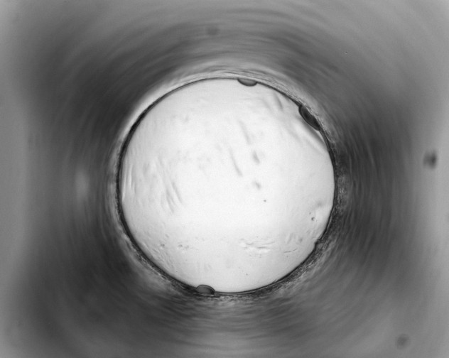 X0000103461530200810101138