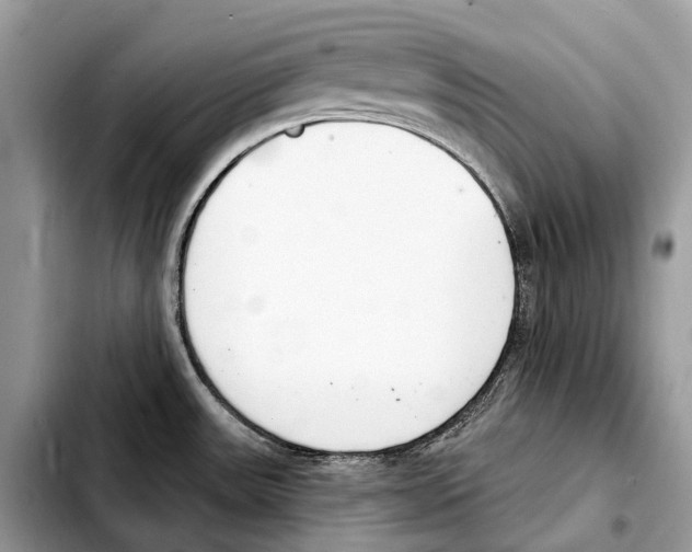 X0000103461531200810101139
