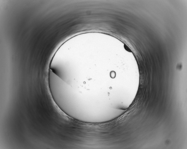 X0000103461532200810101139