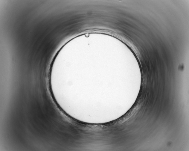 X0000103461533200810101139