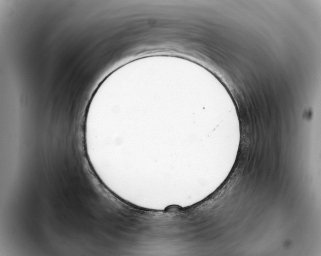 X0000103461534200810101139