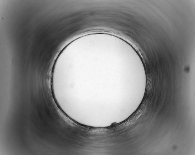 X0000103461535200810101139
