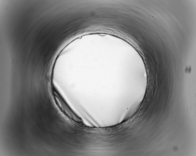 X0000103461536200810101139