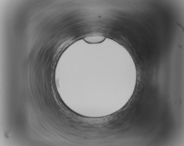 X0000103460001200810241000