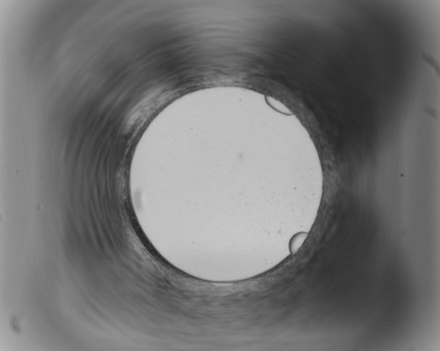 X0000103460002200810241000