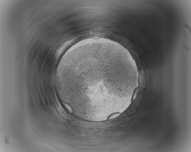 X0000103460003200810241000