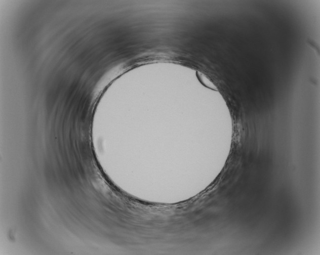 X0000103460004200810241000