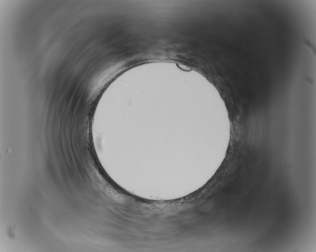 X0000103460005200810241000