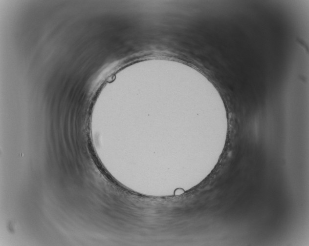 X0000103460007200810241000