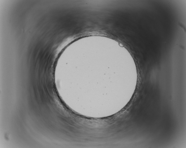 X0000103460008200810241000