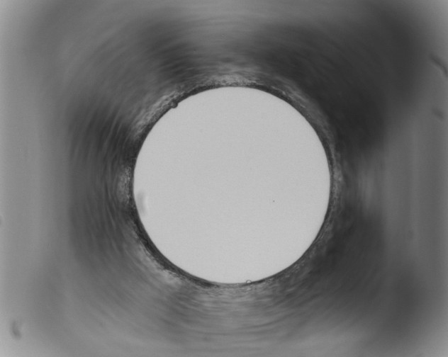 X0000103460009200810241000