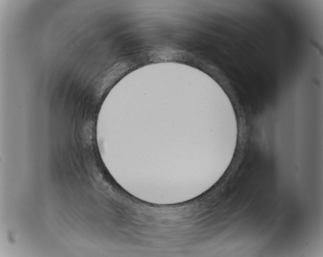 X0000103460010200810241000