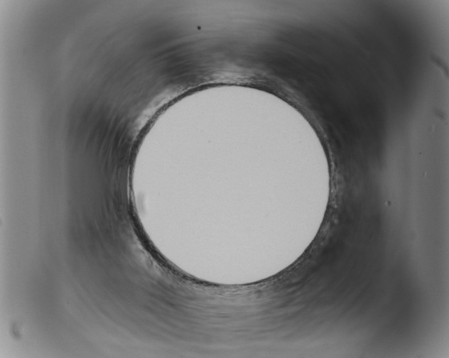 X0000103460011200810241000