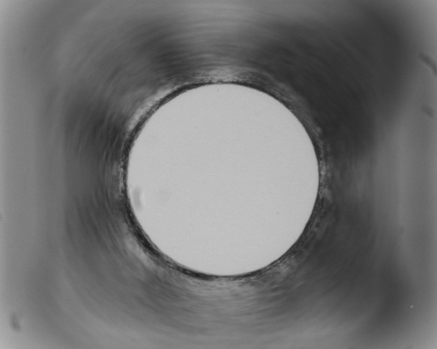 X0000103460012200810241000