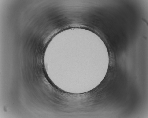 X0000103460015200810241000