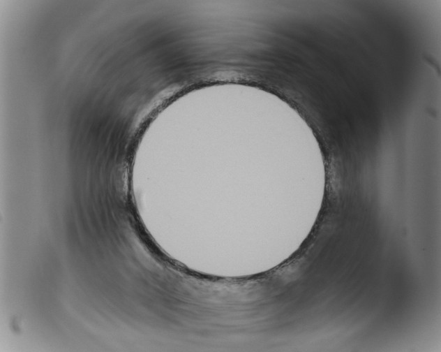 X0000103460016200810241000