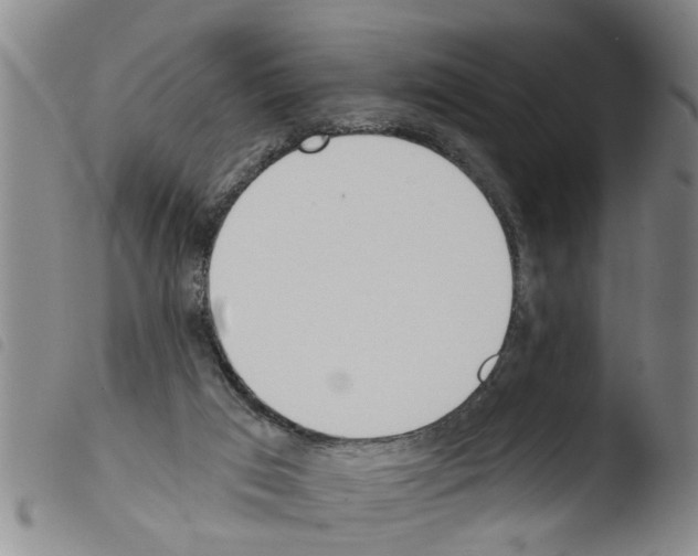 X0000103460017200810241000