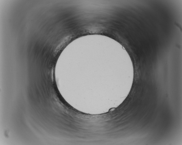 X0000103460019200810241000