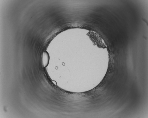 X0000103460020200810241000