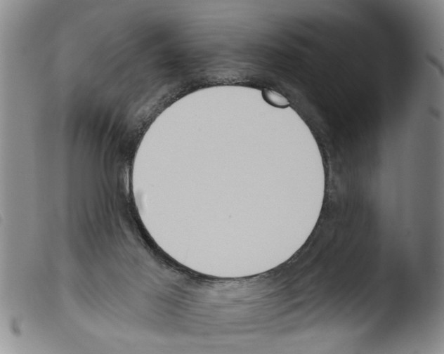 X0000103460021200810241000