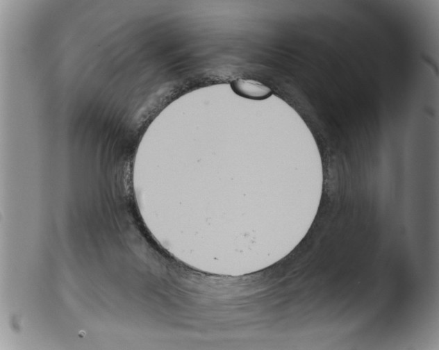 X0000103460023200810241000