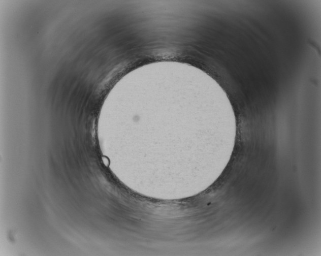 X0000103460024200810241000