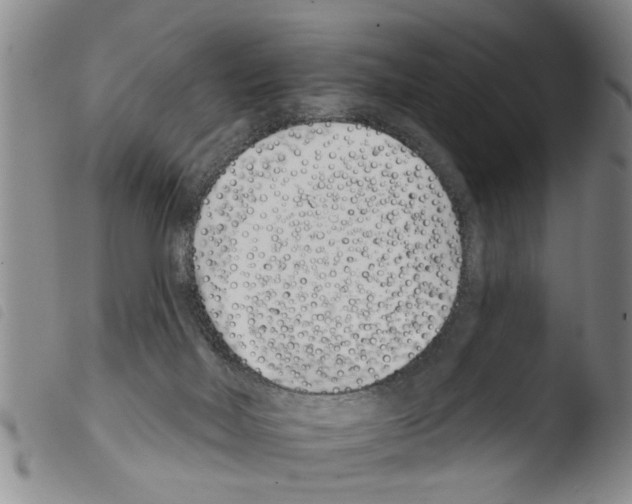 X0000103460026200810241000