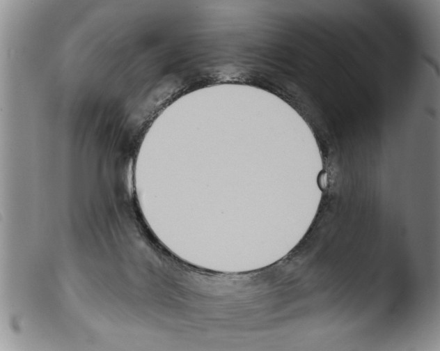 X0000103460028200810241000
