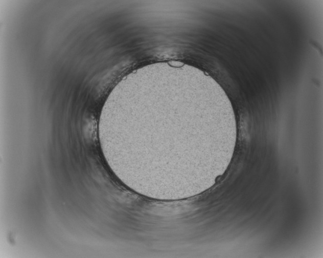 X0000103460029200810241000